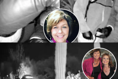 1 Minute Ago: Nancy Guthrie Update: 4 Unseen Security Clips Show the Kidnappers’ Final Escape!