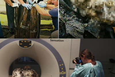 The woman in the well: Human remains discovered after 100 years