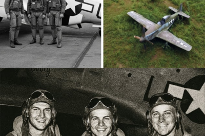 3 Fighter Pilots Vanished In 1944 — 75 Years Later, Their Planes Were Found Almost Intact…