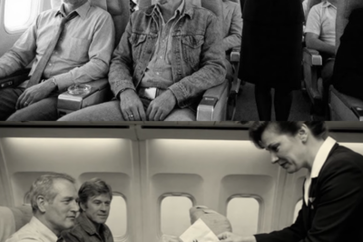 Newman and Redford Boarded a Plane at 2 AM — What the Flight Attendant Did Became Legend