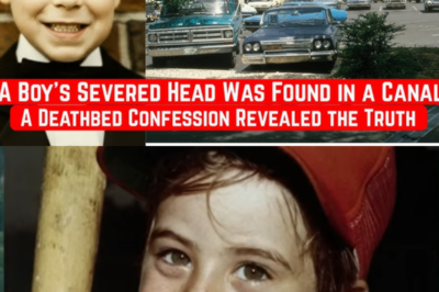 Florida 1981 Cold Case Solved — arrest shocks community