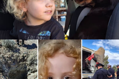Search for missing four-year-old Gus Lamont continues – 7.30