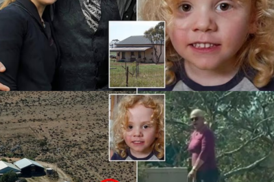 Heartbroken parents of missing boy Gus Lamont finally break their silence