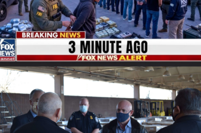 72 Arrested After Federal Probe Exposes Stash House Network in Houston Area