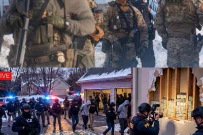 ICE & FBI Shutdown Minnesota Non Profit — $210M Cartel Cash Hidden in Walls