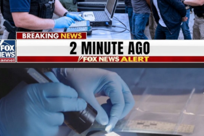 1 Cell Phone Seized in Arrest Revealed Encrypted Communication System for 200+ Operatives