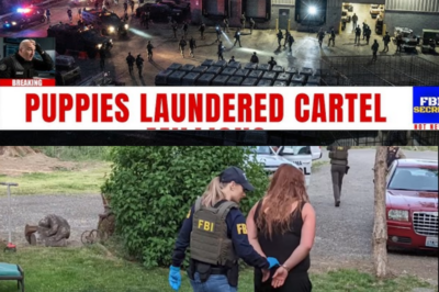 HSI & CBP CRACK Pet Import Fraud Ring — 6,000 Dogs, $290M Laundered Through Puppies