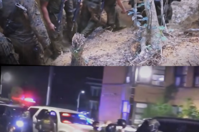 1 Anonymous Tip About Suspicious Vehicles Led to Discovery of $4,900,000,000 Fleet System