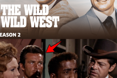 The Wild Wild West: The Show That Broke Every Rule and Changed TV Forever