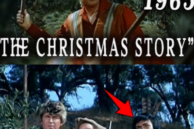 Daniel Boone: The TV Legend Who Survived the Wilderness, Hollywood, and History