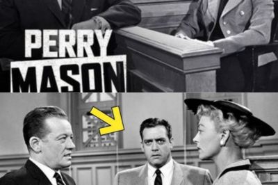 Perry Mason: The Courtroom That Changed America