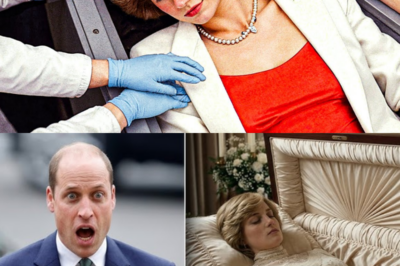 27 Years Later They Opened Princess Diana’s Tomb And Got SH0CKED