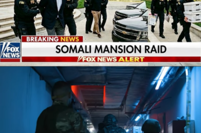 FBI RAID Somali Couple’s Mansion — 9 Hidden Rooms, $420M Network Exposed!