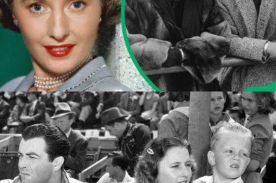 The Tragedy of Dion Anthony Fay’s life when he was the son of Barbara Stanwyck.