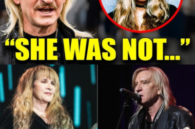 Joe Walsh Opens Up About Stevie Nicks — Fans Are Sh0cked