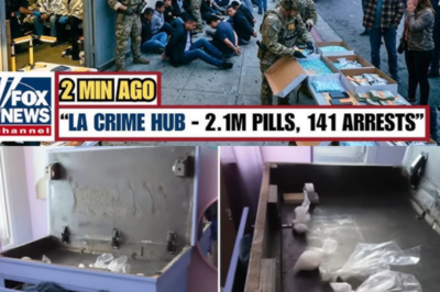 141 Chinese Arrested in Los Angeles RAID — FBI Uncovered 2 1M Fentanyl & Trafficking Network!