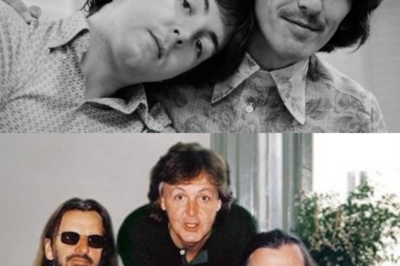 Before He Was A Legend, He Was A Friend — Paul McCartney’s Final Quiet Visit To George Harrison Still Breaks Hearts Today